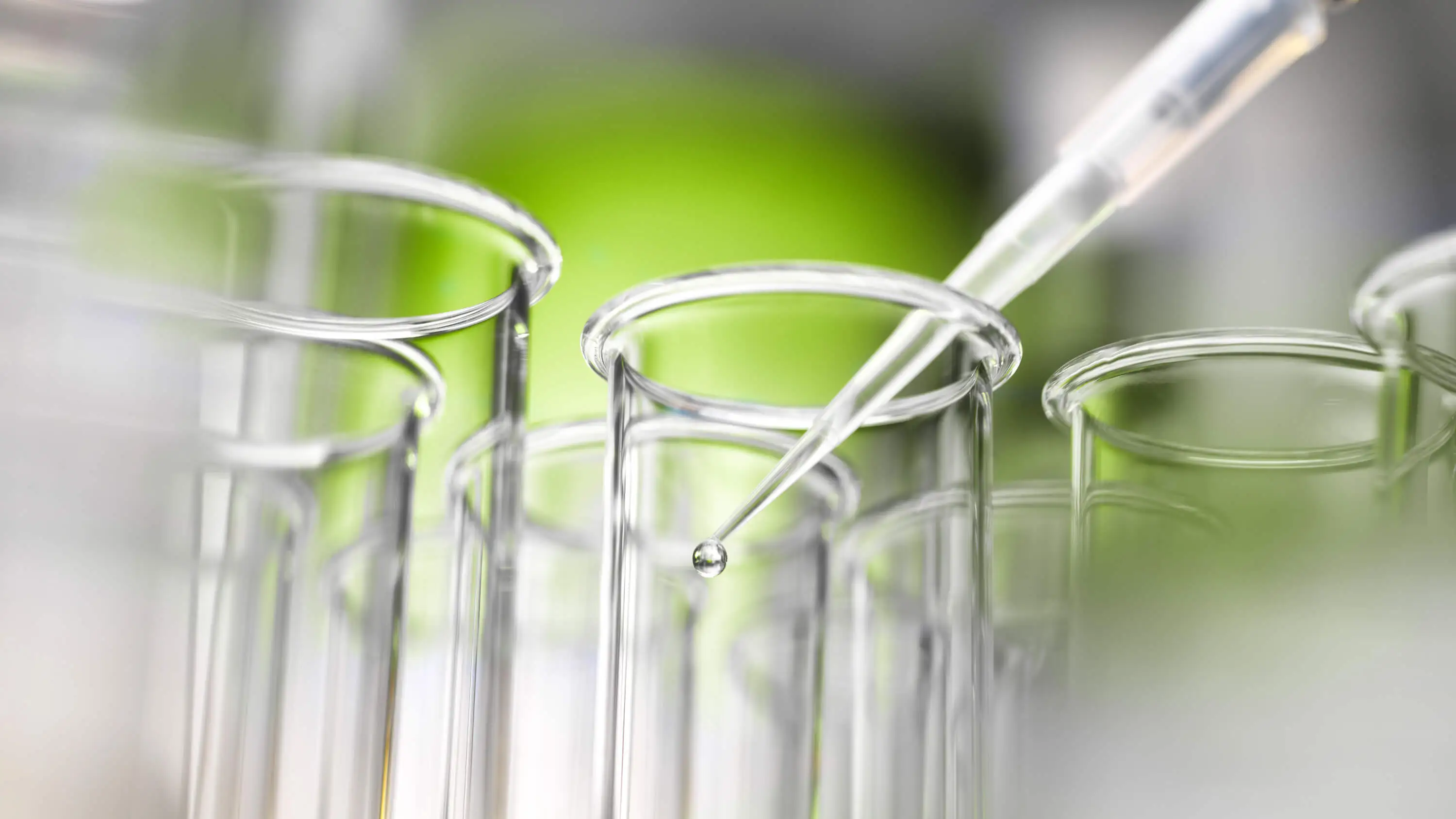 Hintergrundbild - IDT Biologika - regional verwurzelt, global aktiv.