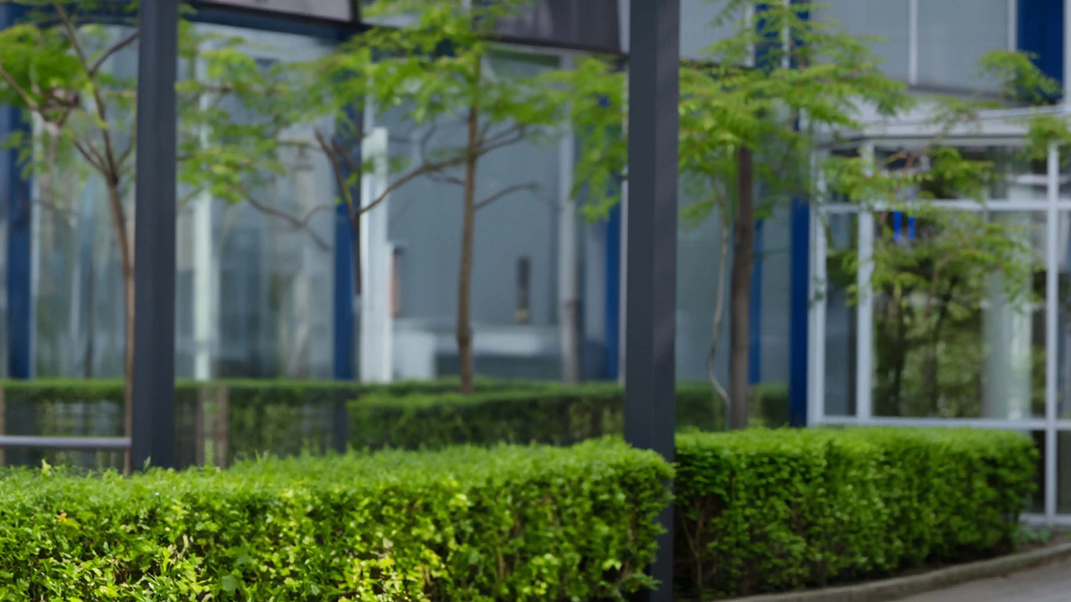 Hintergrundbild - Ein Familienunternehmen mit klarer Führung.