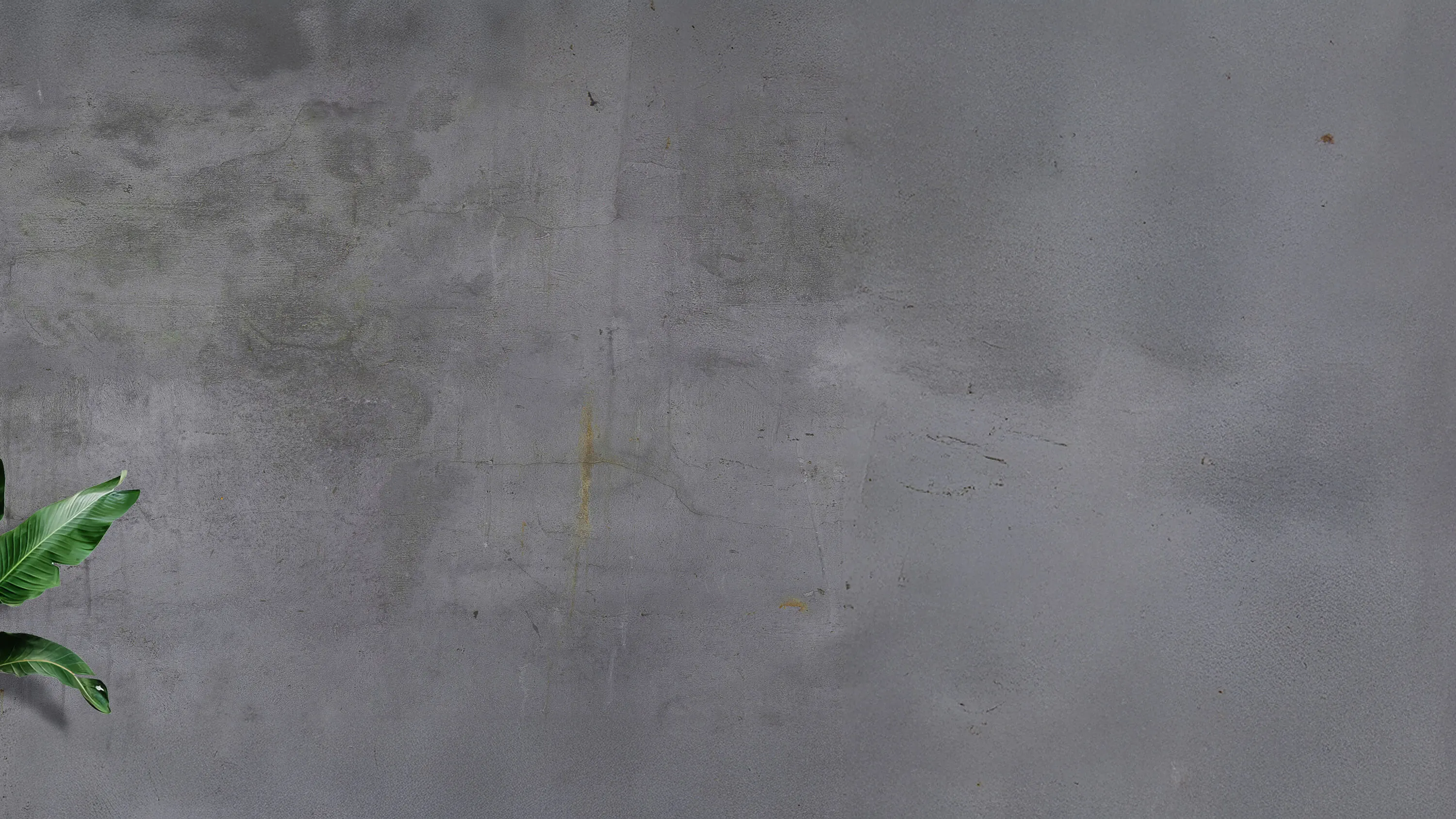 Hintergrundbild - Unsere Kursinhalte. Dingolfing