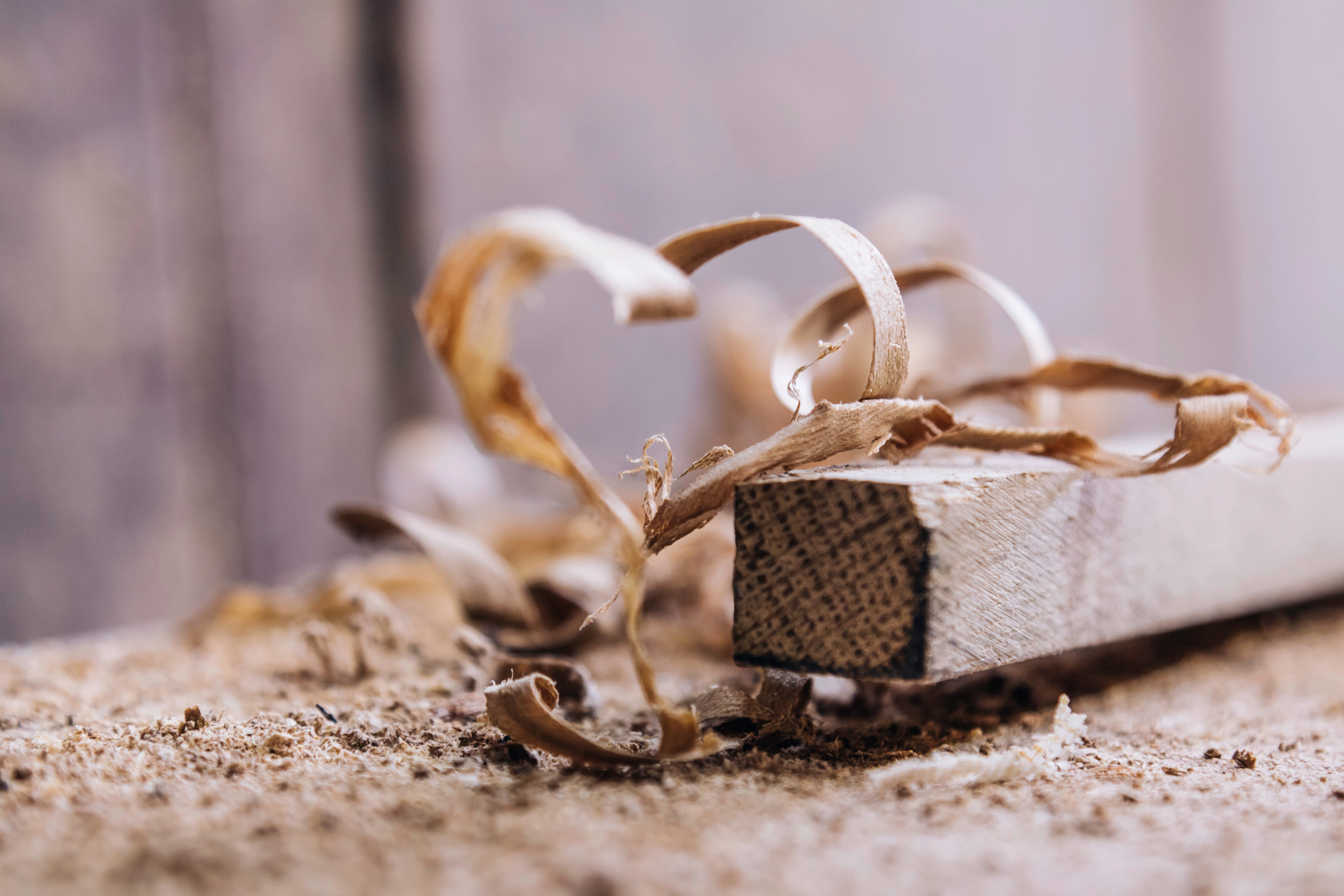 Hintergrundbild - Liebe zum Holz setzen wir voraus. 