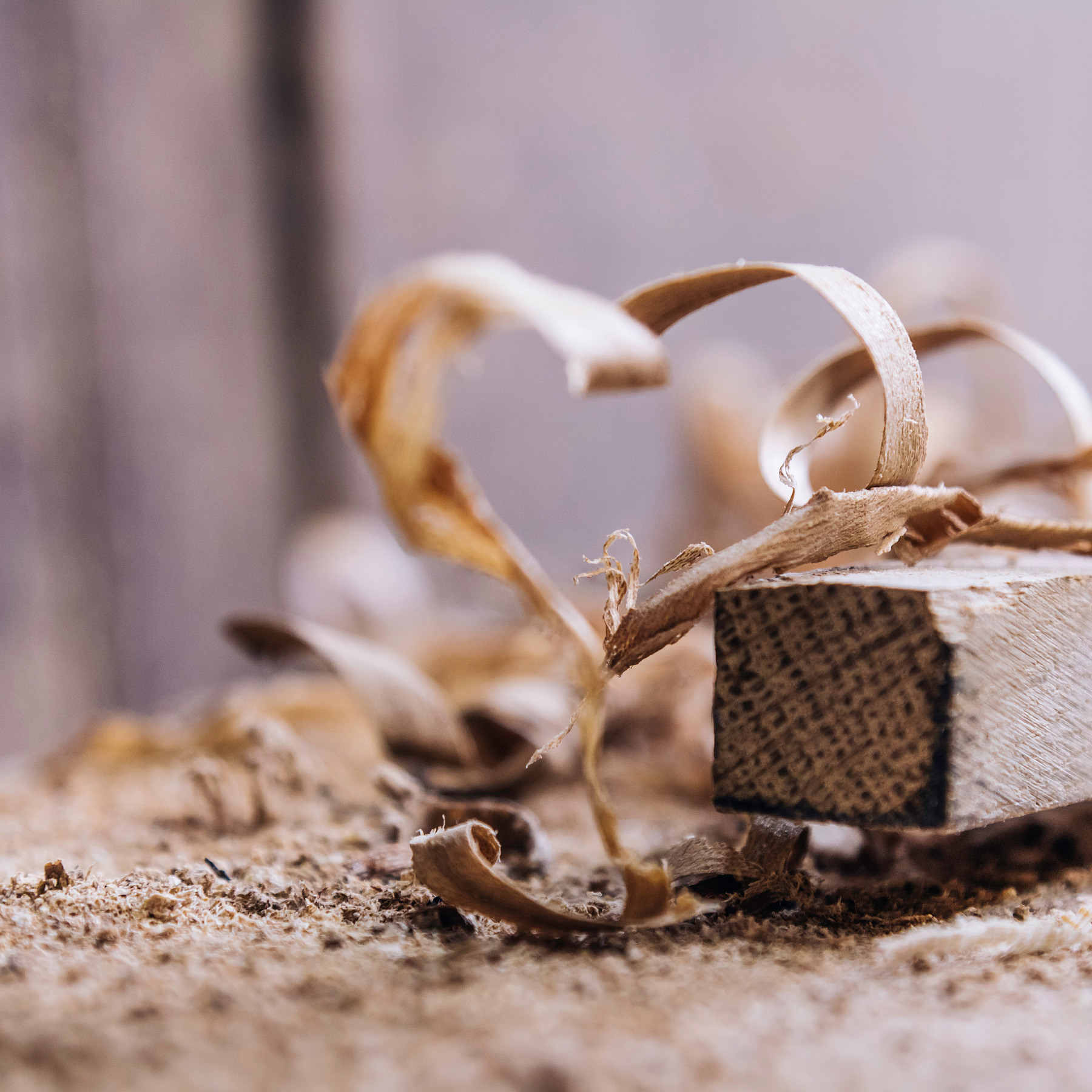 Holzspäne in Herzform auf einer Werkbank zeigen präzise Tischlerarbeiten in der Zeitarbeit bei Hofmann Personal.