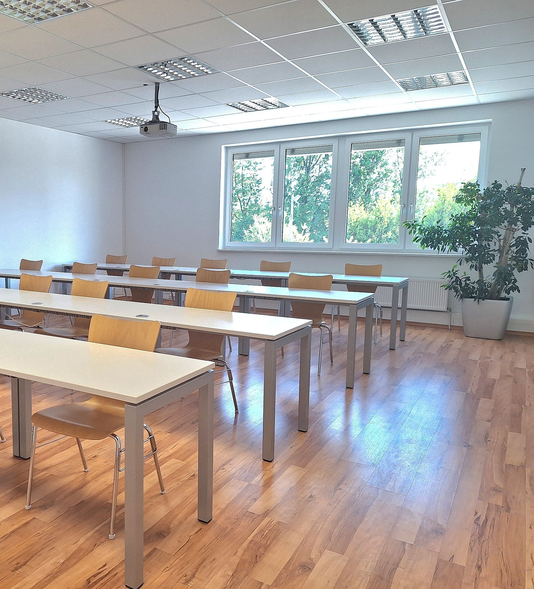 Großer heller Seminarraum mit mehreren Tischreihen und Holzstühlen auf Parkettboden